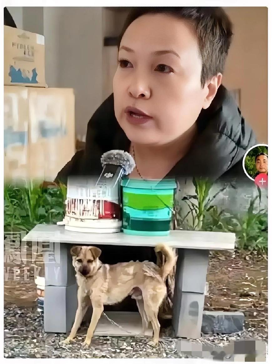 不查不知道，一查吓一跳！难道是他亲妹妹郭女士:有人猜长治狗咬人案的✂️真