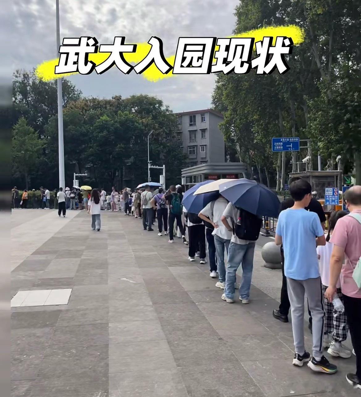 卧槽，武汉大学又赢麻了！居然变成旅游景点了！乌泱泱的一大堆人排队进校！武汉大学的