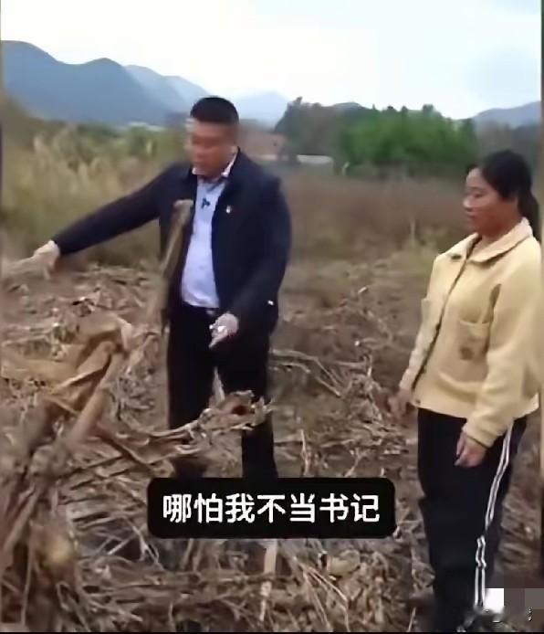 “烧！一定得烧！”这句掷地有声的呼吁，来自一位敢于为农民发声的基层书记。在环保政