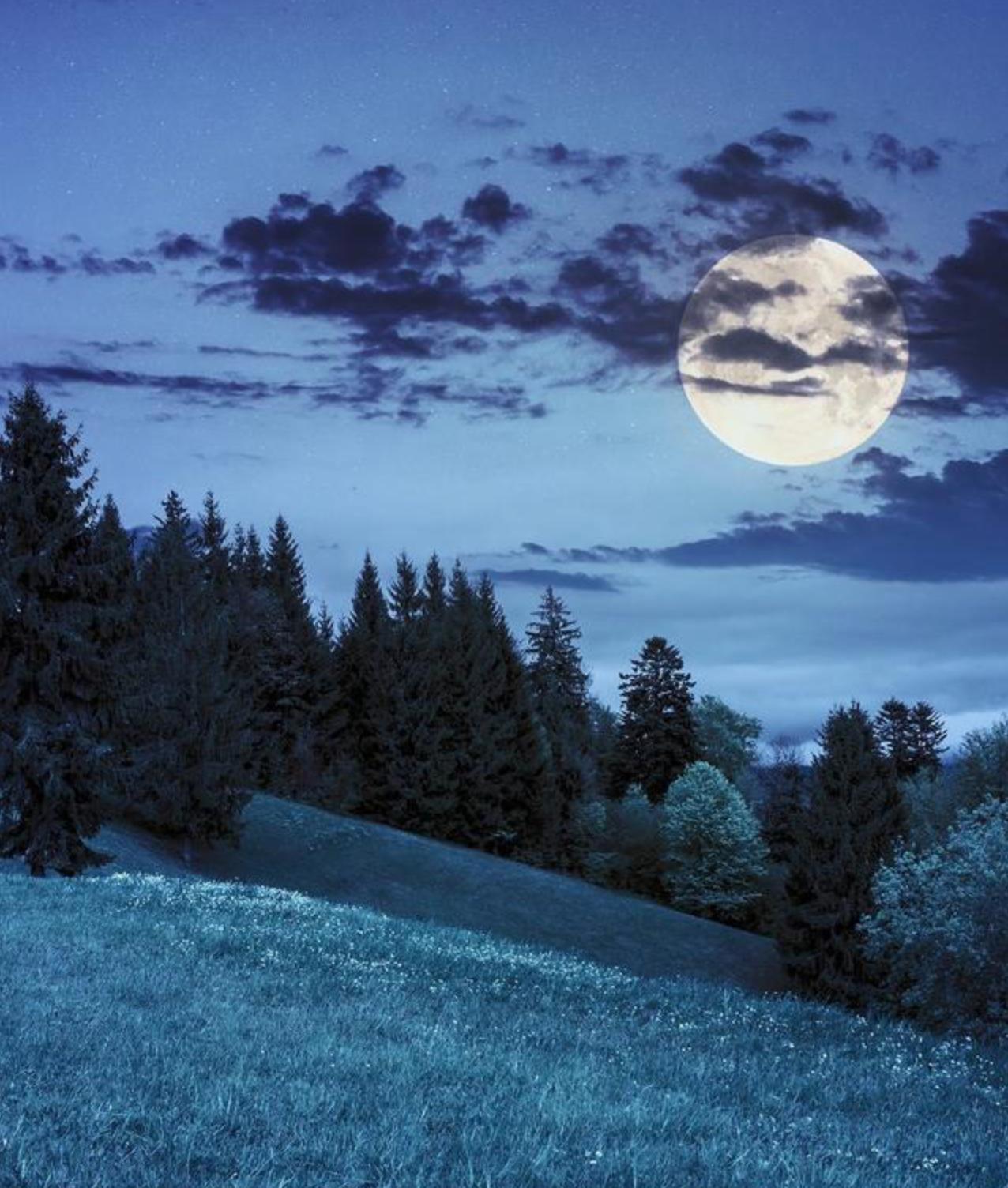 昨天在老家遇到表哥，听说他离婚了，我很疑惑，表哥要身高有身高，要工作有工作，不抽