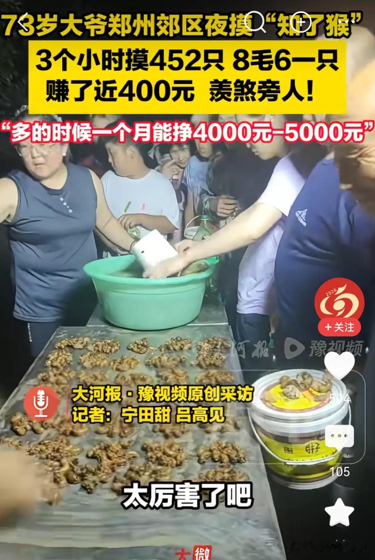 没有对比就没有伤害。郑州大爷一晚上抓3个小时的知了猴，就能挣400多块钱