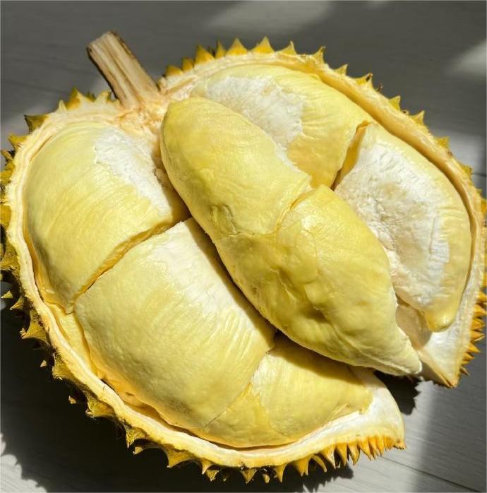 小姑子怀孕我跟她说：“怀孕期间一定不要吃榴莲，小孩出生后跑不掉过敏体质。”结果就