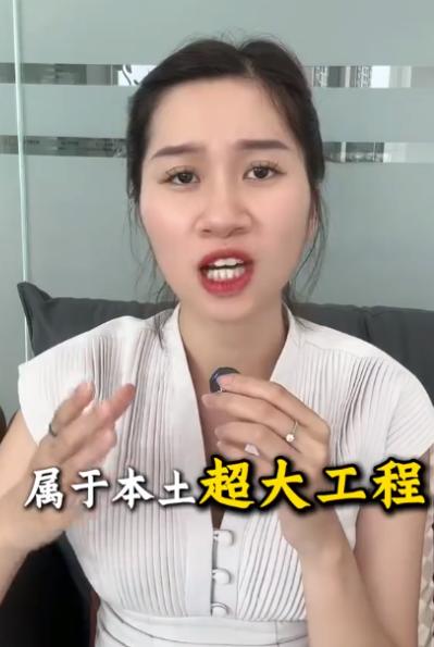 女博主一句话戳透越南二十年高铁盘算，修铁路只是幌子，真实心思是整套搬来别国工业技