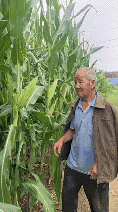大爷一口气跑了二里地[捂脸哭]