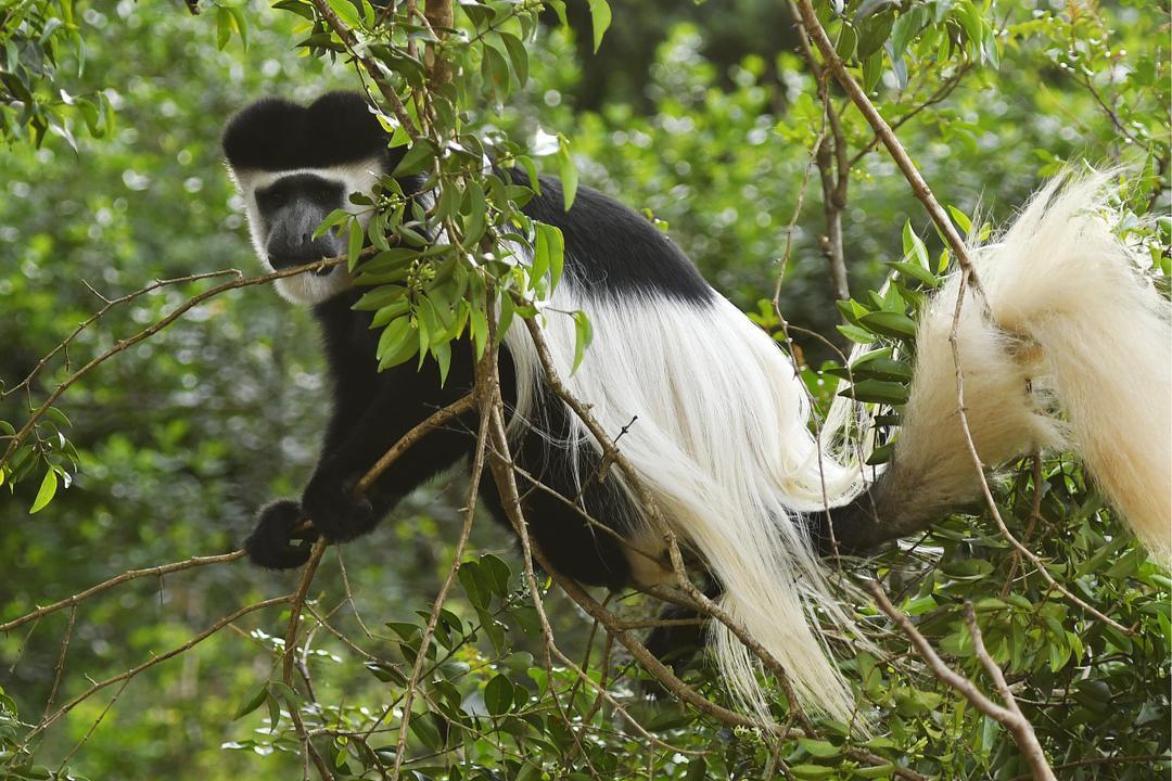 说实话，在国内走了一圈，我最服的还是云南玉溪。讲真，这儿的气候简直是开了挂：冬