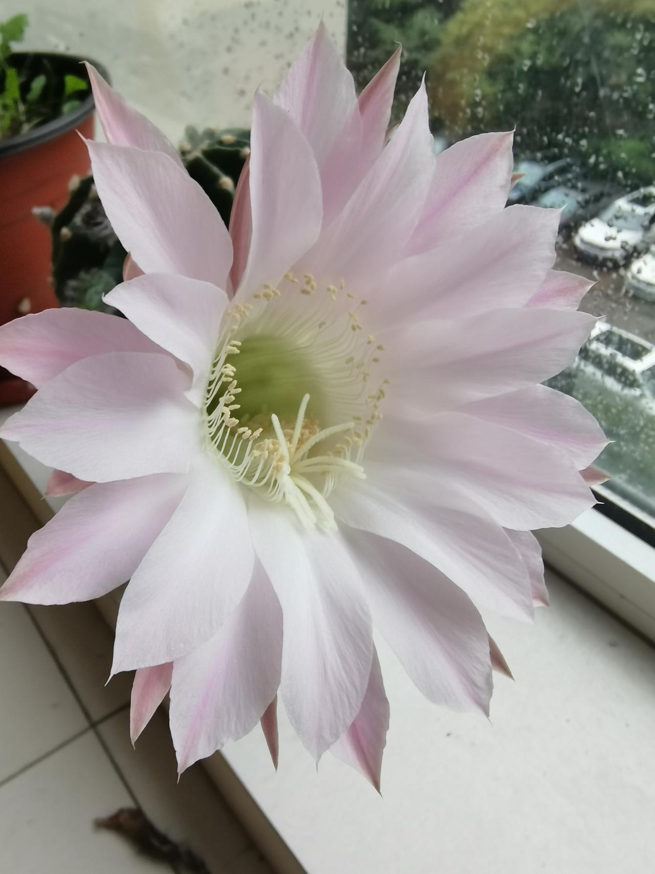 今天参加单位招聘人员资格审核，看清了一个扎心的现实。正值高考填志愿，很多人