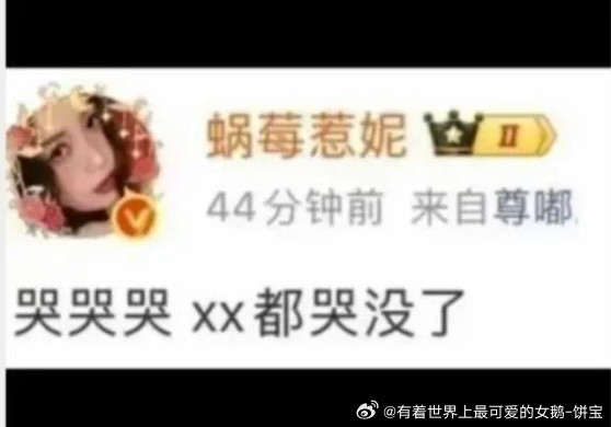 哭哭哭xx都哭没了