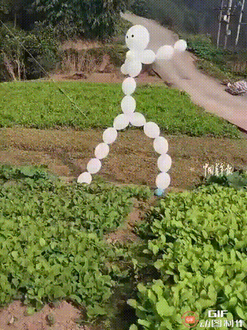 这名女子真是太有才了！四川宜宾一名女子的母亲因为有事要去外地，但又担心家里的菜园