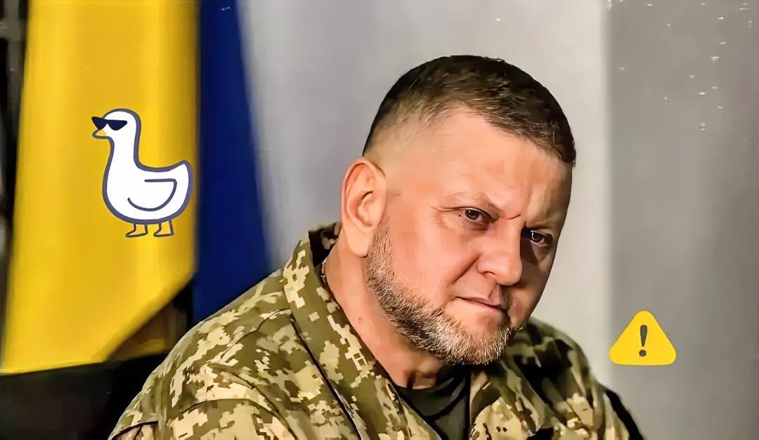 快讯！快讯！来自外媒的消息说，乌克兰军队前总司令扎卢日内公开表示，一旦乌克