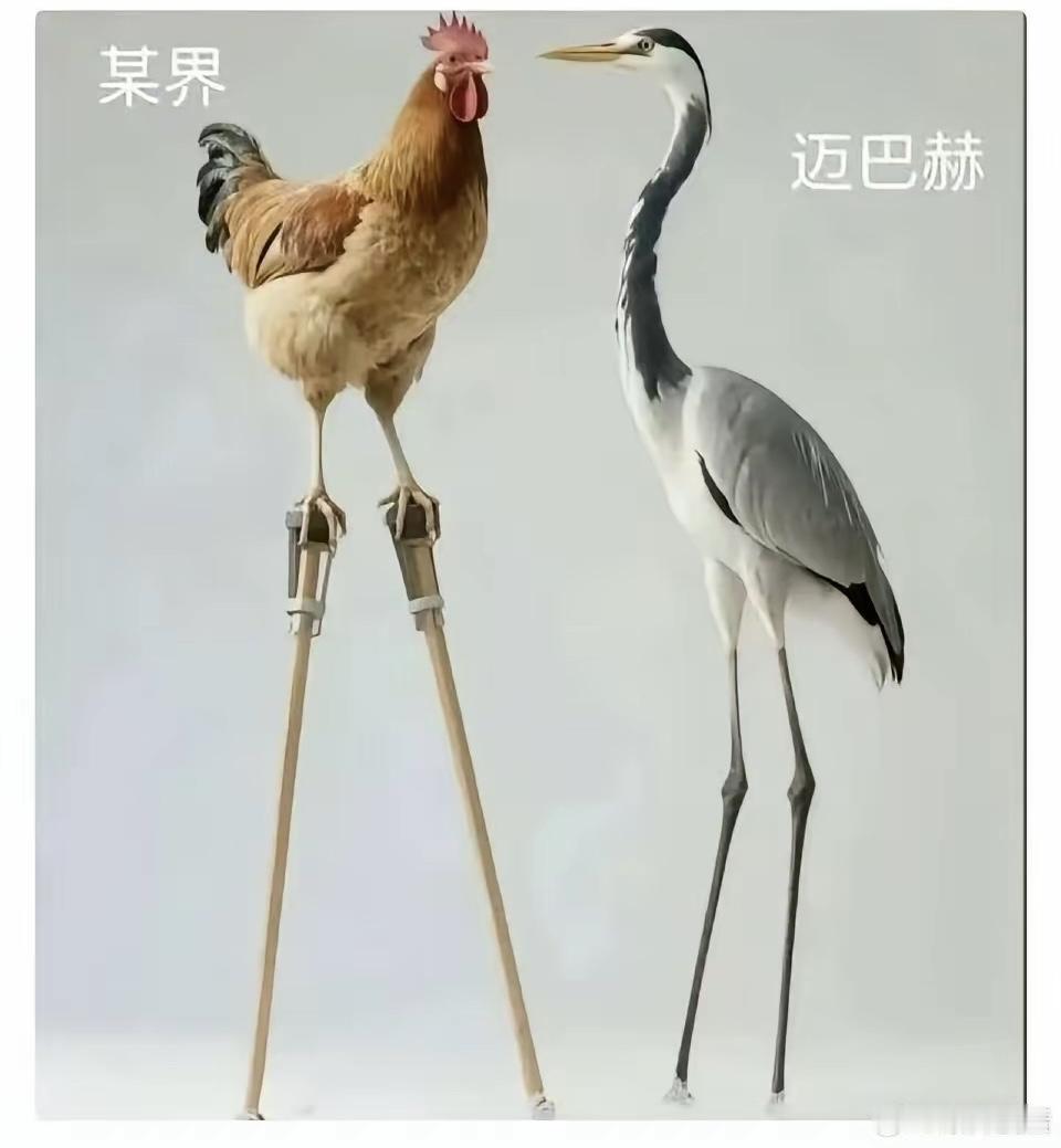 中国七“界”汽车超越迈巴赫问界‌：华为赛力斯‌‌智界‌：华为奇瑞‌‌享界‌