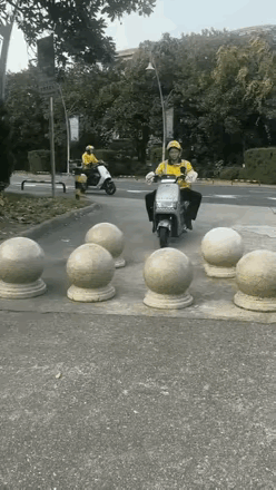 前人栽树，后人也不一定能乘着凉的！[捂脸哭][捂脸哭][捂脸哭][捂脸哭][捂脸哭][捂脸