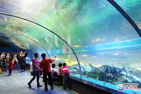 国庆各省旅游收入排行_清远市2017旅游收入(2)