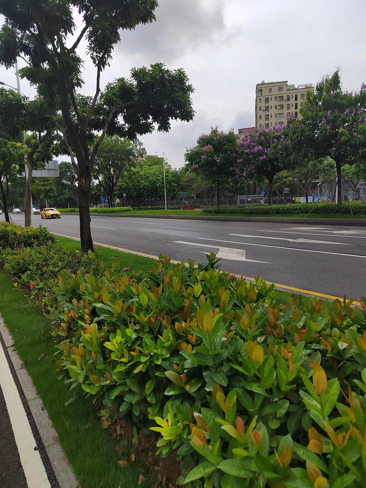 高考期间深圳会有赠予考生，其实也没有受多大影响，只是要记住代号语句作为家长的应该