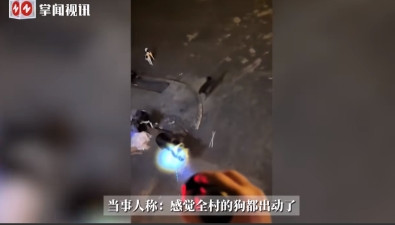 “太有灵性了！”6月19日，西藏那曲，一头藏马熊突然闯入了一家民宿，它的个头很大
