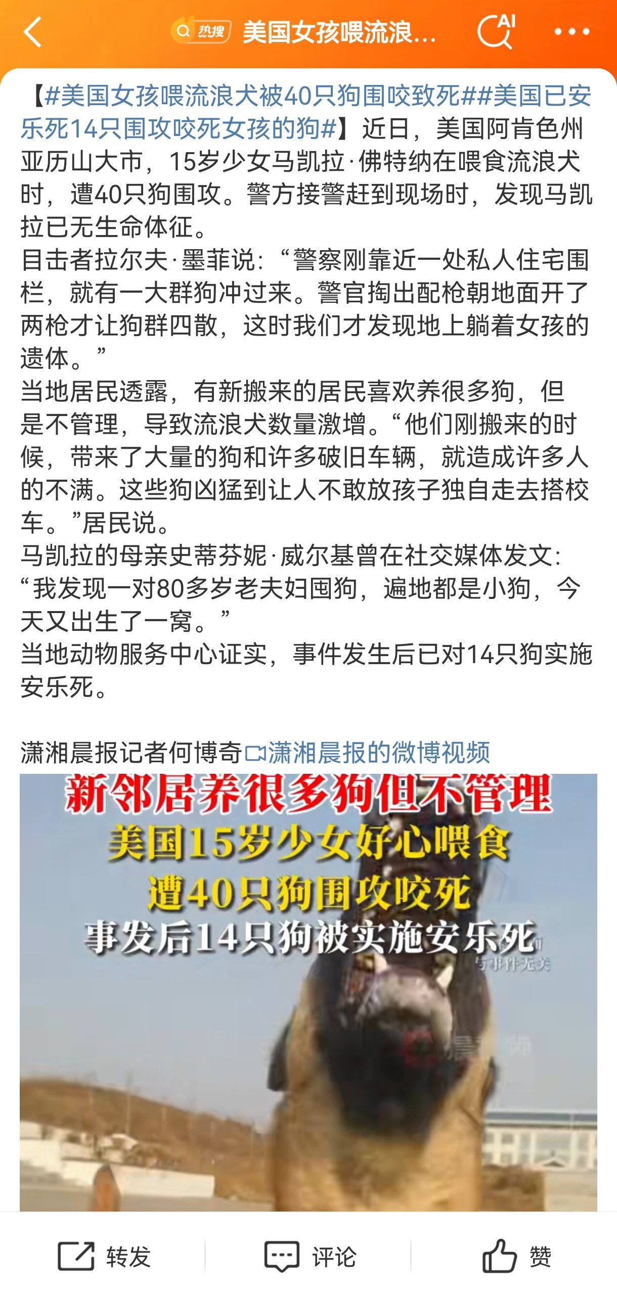 啥？！美国对14只流浪犬实施安乐死？[doge]美国女孩喂流浪犬被40只狗围咬致