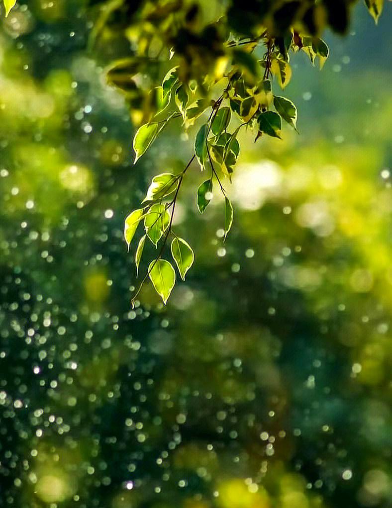 旺自己，十妙招，第一，笑容时常挂脸上，第二，见人问声好，第三，尊老爱幼，