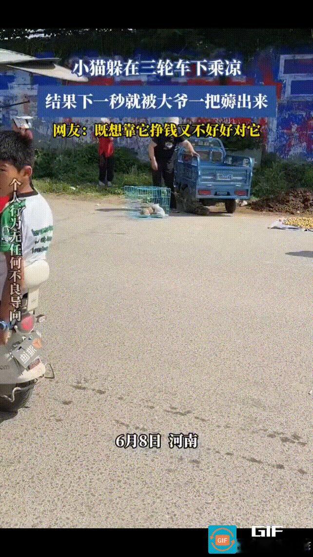 大中午的，地板晒得发烫，蓝胖子躲在三轮车下面的阴凉处睡得正香，被老头拎着绳子，粗