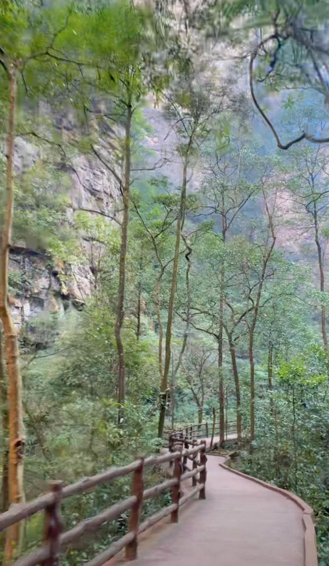 生活百态生活生活碎片生活不会辜负每一个努力的人生活随拍