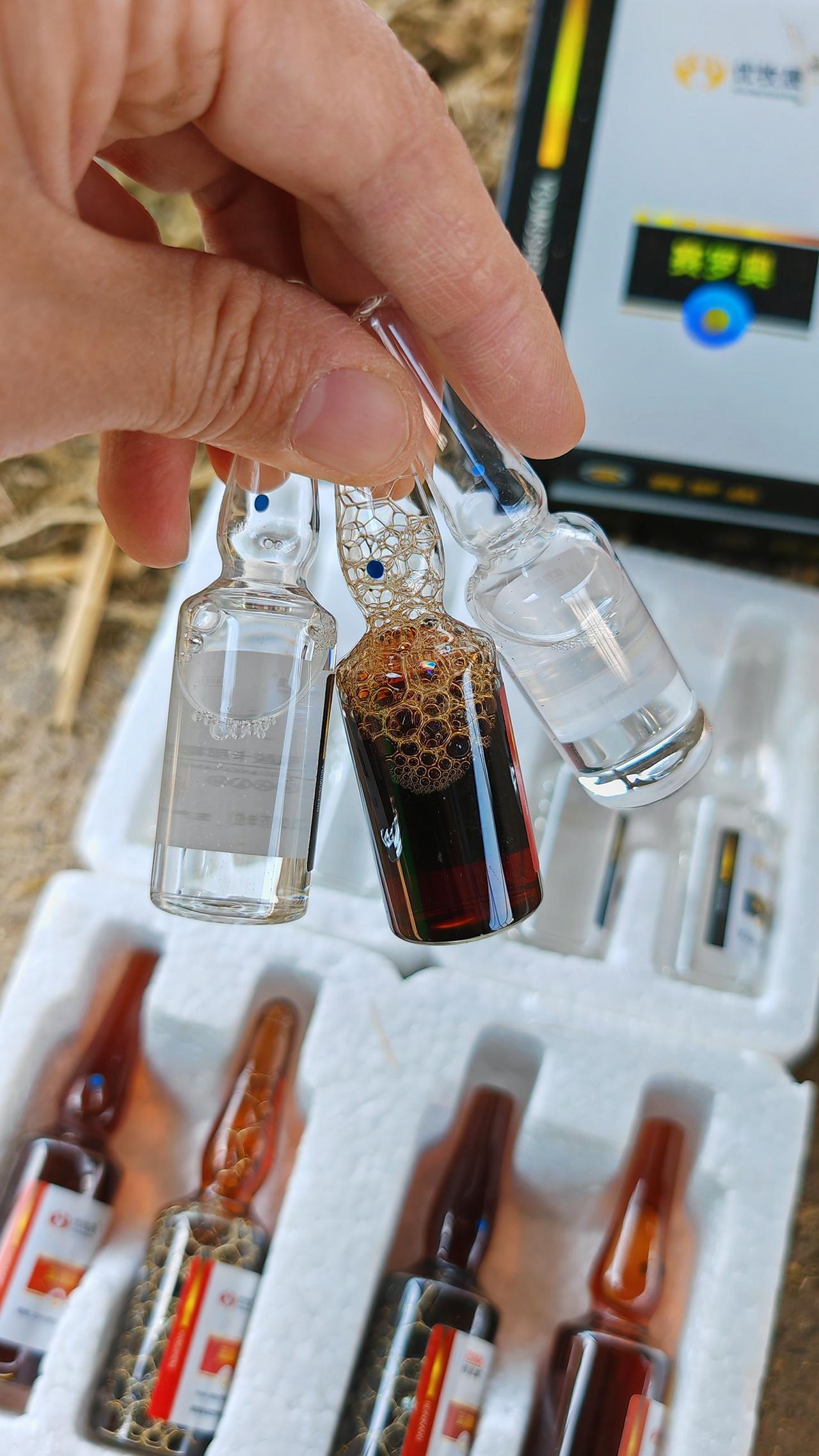 养羊人农村养羊牛羊养殖