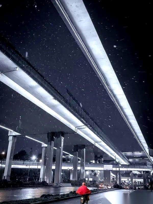 学校今天停课，我看着窗外的大雪，心里一点也高兴不起来。说真的，我甚至觉得这个决