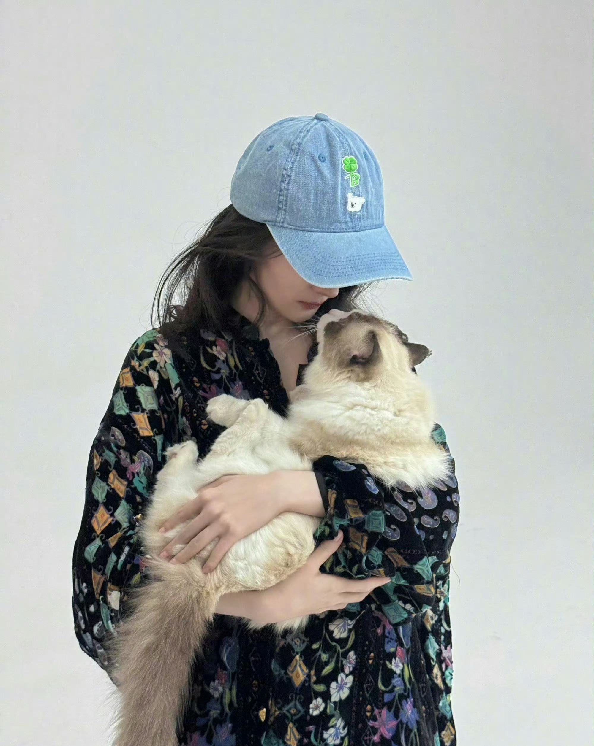 杨幂养的都是流浪猫杨幂好暖心，养的小猫都是流浪猫，还带着拍杂志了，怎么会有这么好