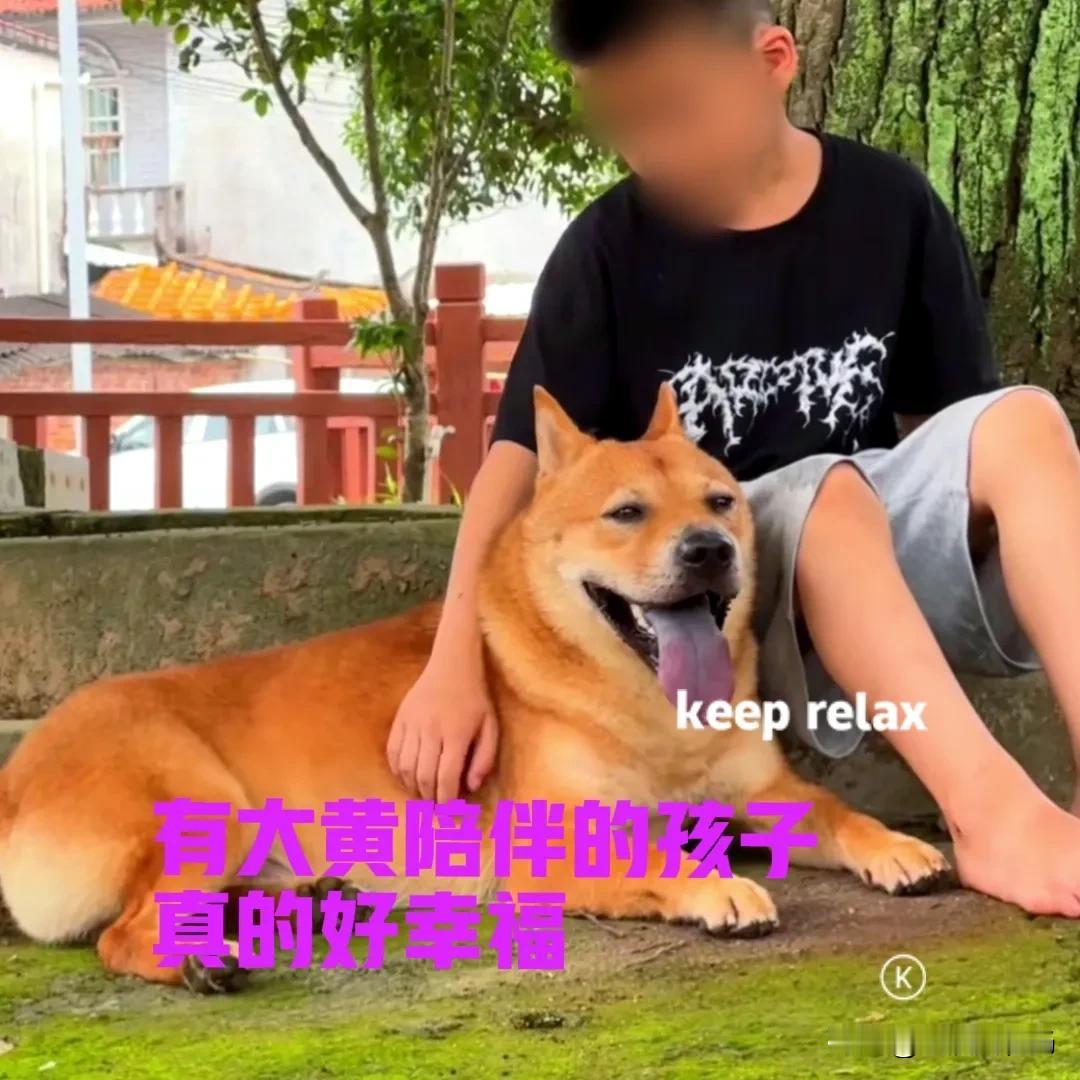 一直以来我都认为，中华田园犬才是最世界上优秀的犬种，没有之一。不管大街上的宠物狗