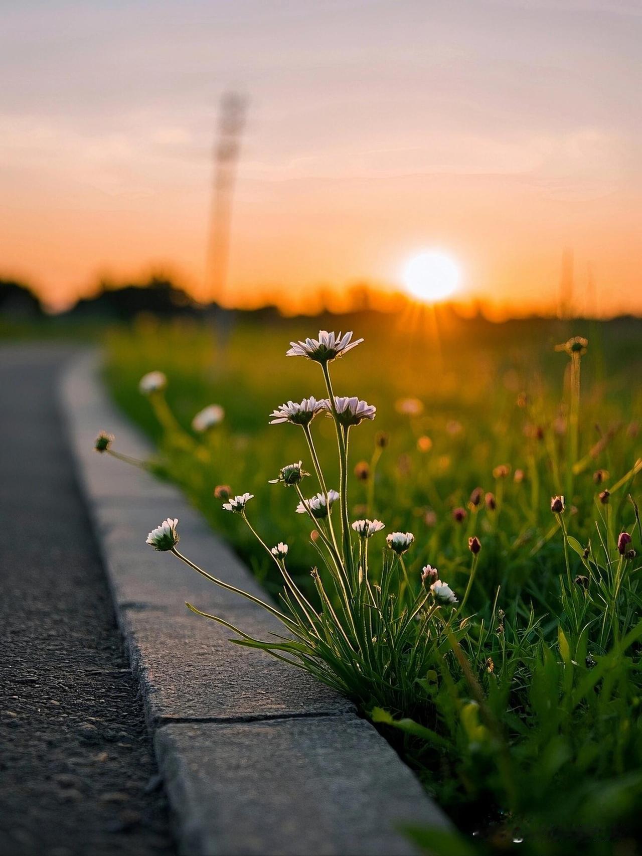 很多人接不住真诚，一旦接触到真诚，他们反而滋生了傲慢和贪婪。这就是心理学上认为的