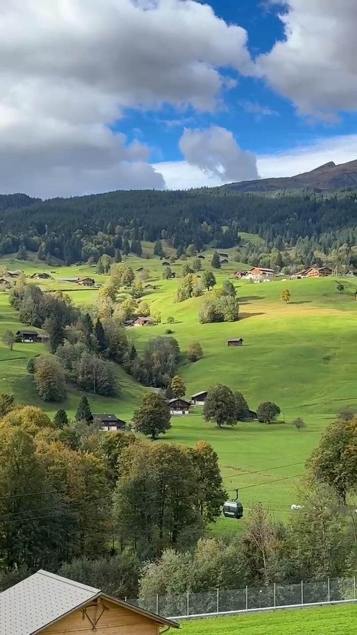 太美了，美死了。
