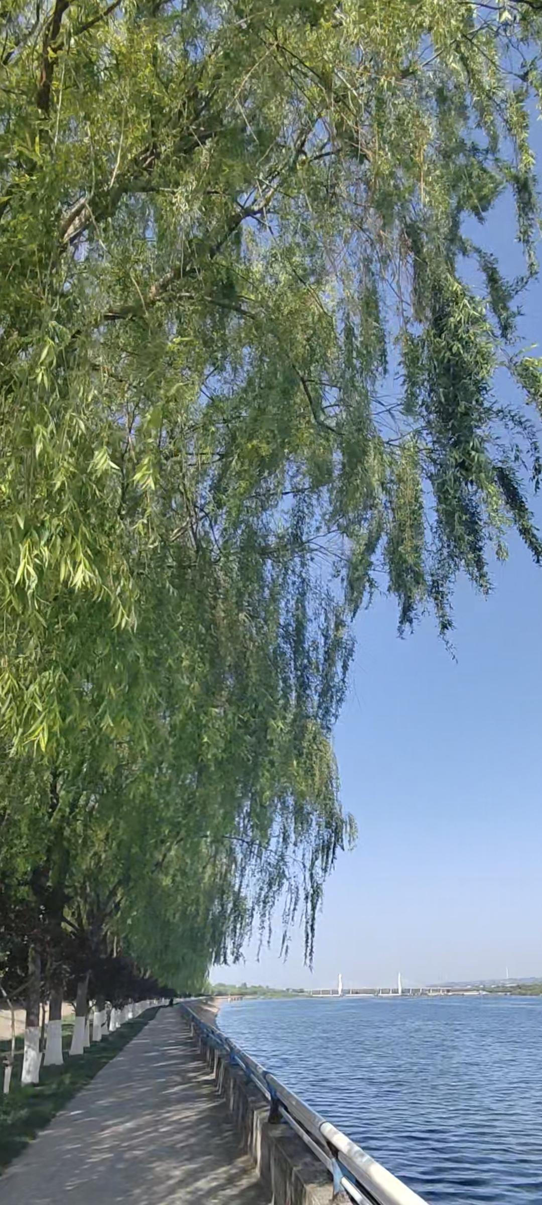 周末的路，是我最喜欢走的路。沿途的风景，总能给我带来惊喜。人生没有最好的年龄