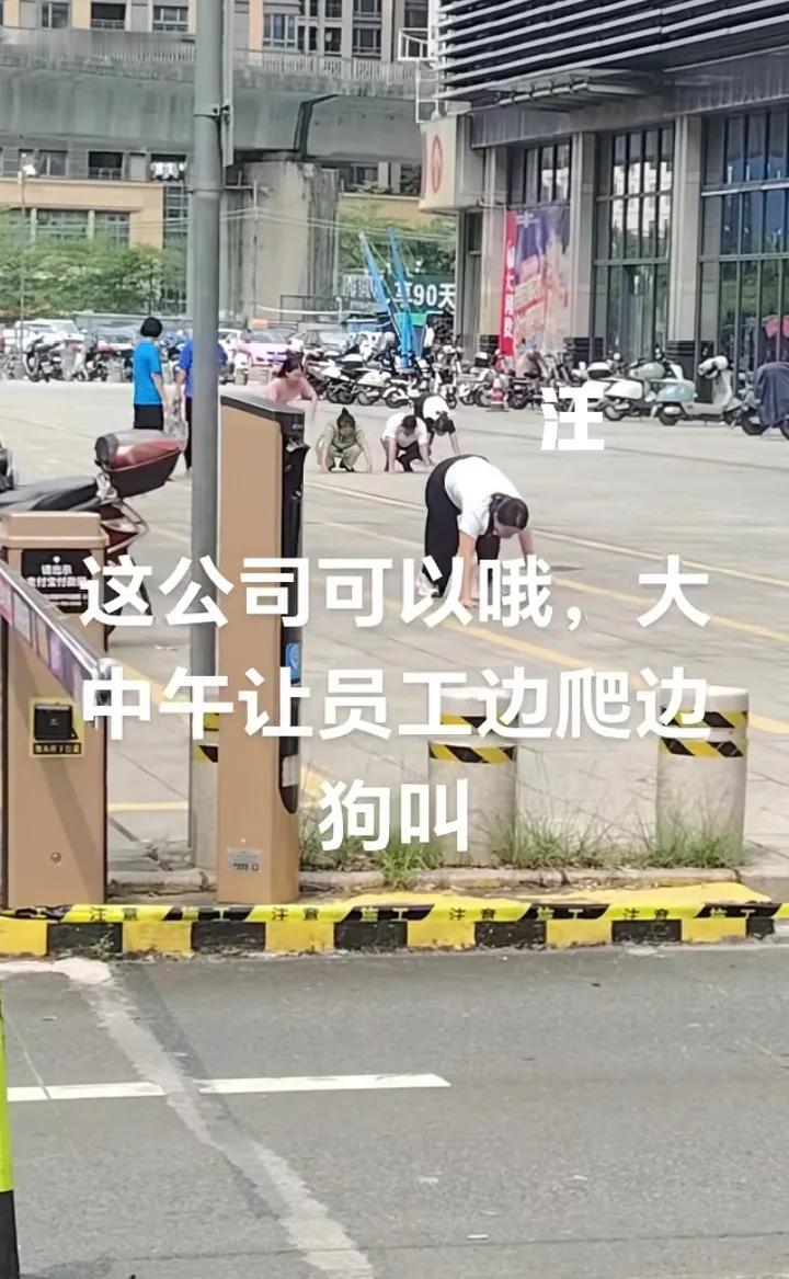 让员工学狗爬狗叫，已经快2026年了，还有这么离谱的公司？近期网友拍下了让人气