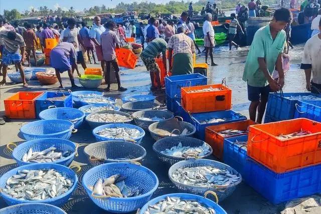 就在刚刚！印度开始着急了！最厉害的还是我们祖国！中国暂停进口日本的水产品