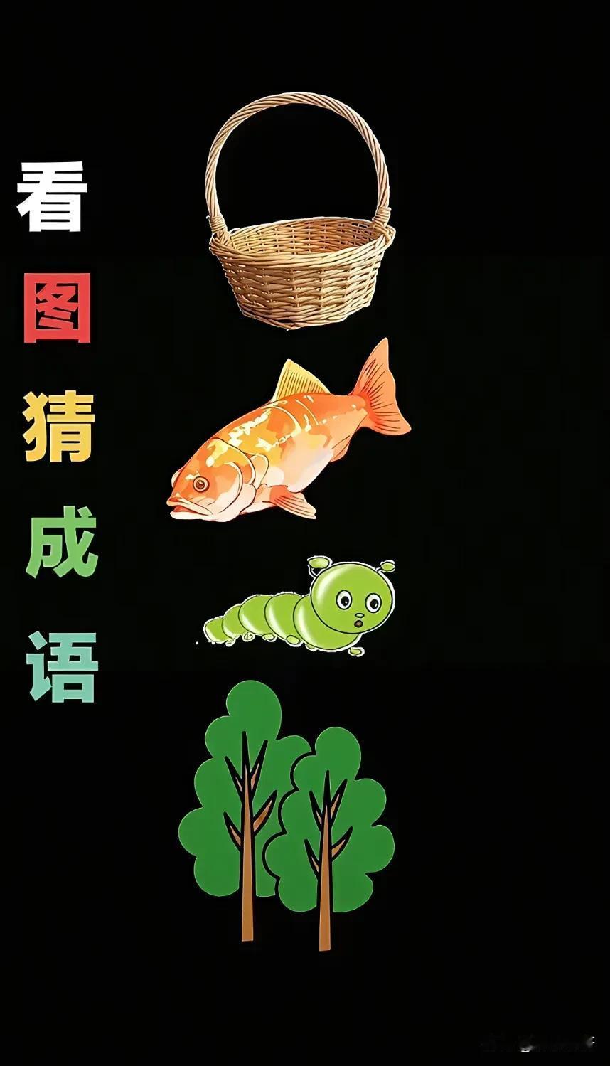 我觉得这个成语是年年有鱼，不接受反驳！