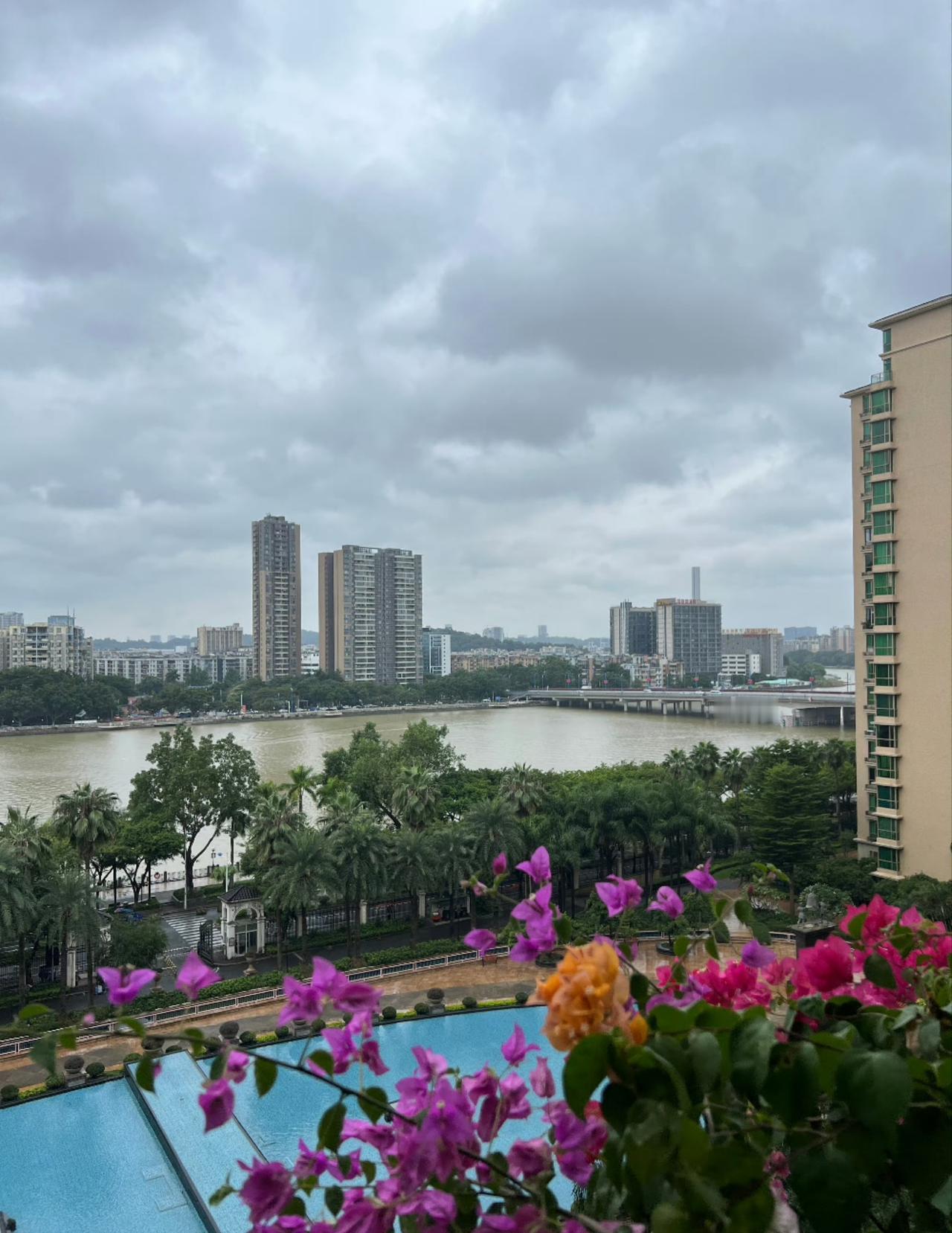 今日运势：乙巳年丙戌月戊辰日2025.10.26日鼠：中吉财运旺盛牛：