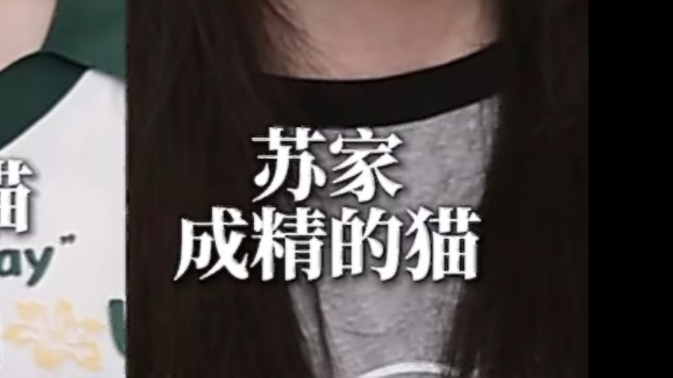 老师我也想当双儿家的猫。