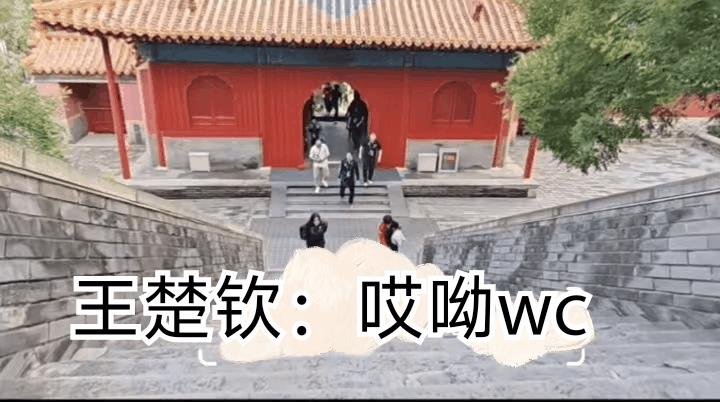 笑不活了，大头人未到声先到！头哥刚走到门口，就看到了这么高的台阶，发出了一声感