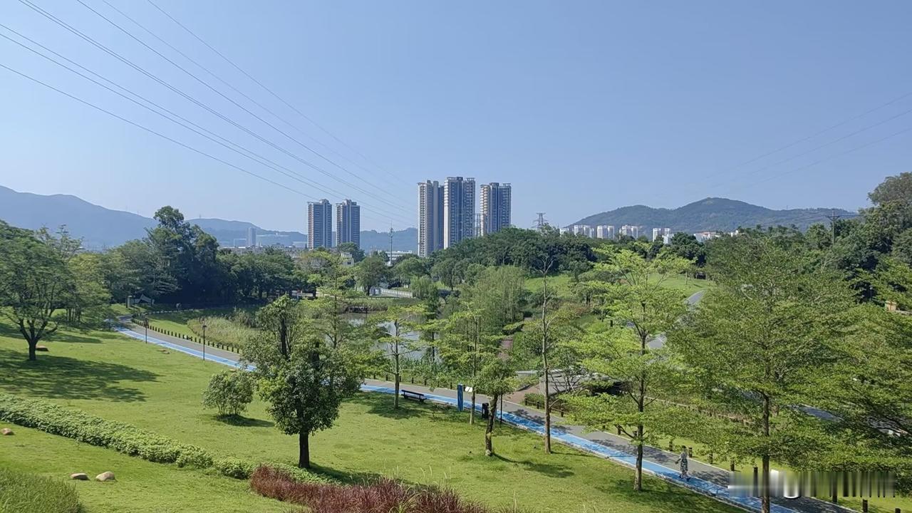 一位社会知名人士锐评说：电诈这个词是中国专家发明的！实际上是个贩卖器官，强奸，杀