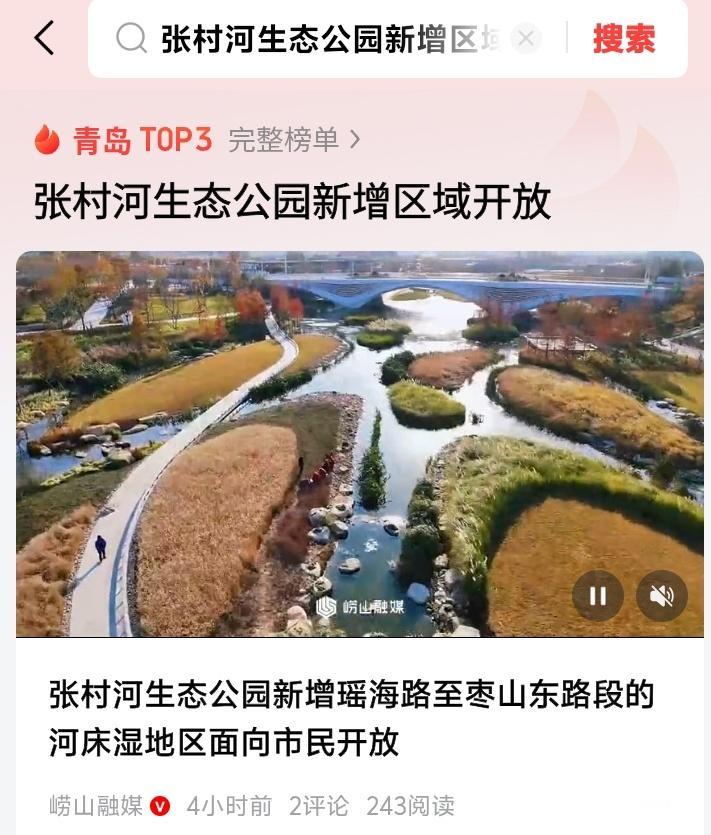 震撼揭秘青岛张村河巨变。昔日城中村逆袭城市绿肺！白鹭翩飞vs极限运动，这片湿地让