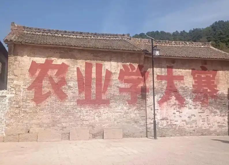 那时农业学大寨几十年，不仅没有解决温饱问题，而且愈学愈穷，生态遭到严重破坏。甚