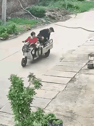爱养花的人知道，这是摘个枝条回去扦插。[比心]