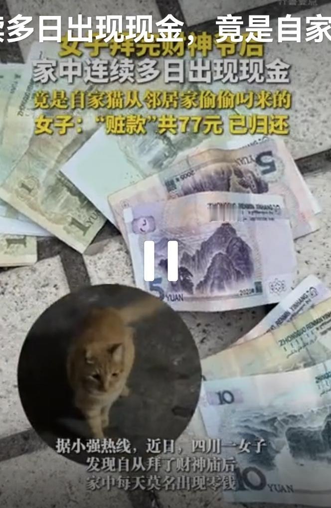 “终于破案了！”四川，一女子拜完财神爷后，她惊讶的发现，家里连续多日出现现金，有