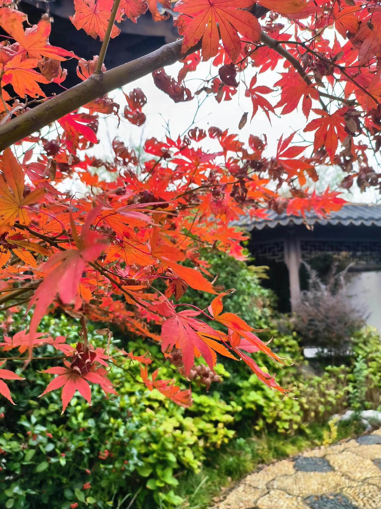 一所名校的校长是这样对待工作懈怠的老教师。有一所名校，前往参观者提出了这样一