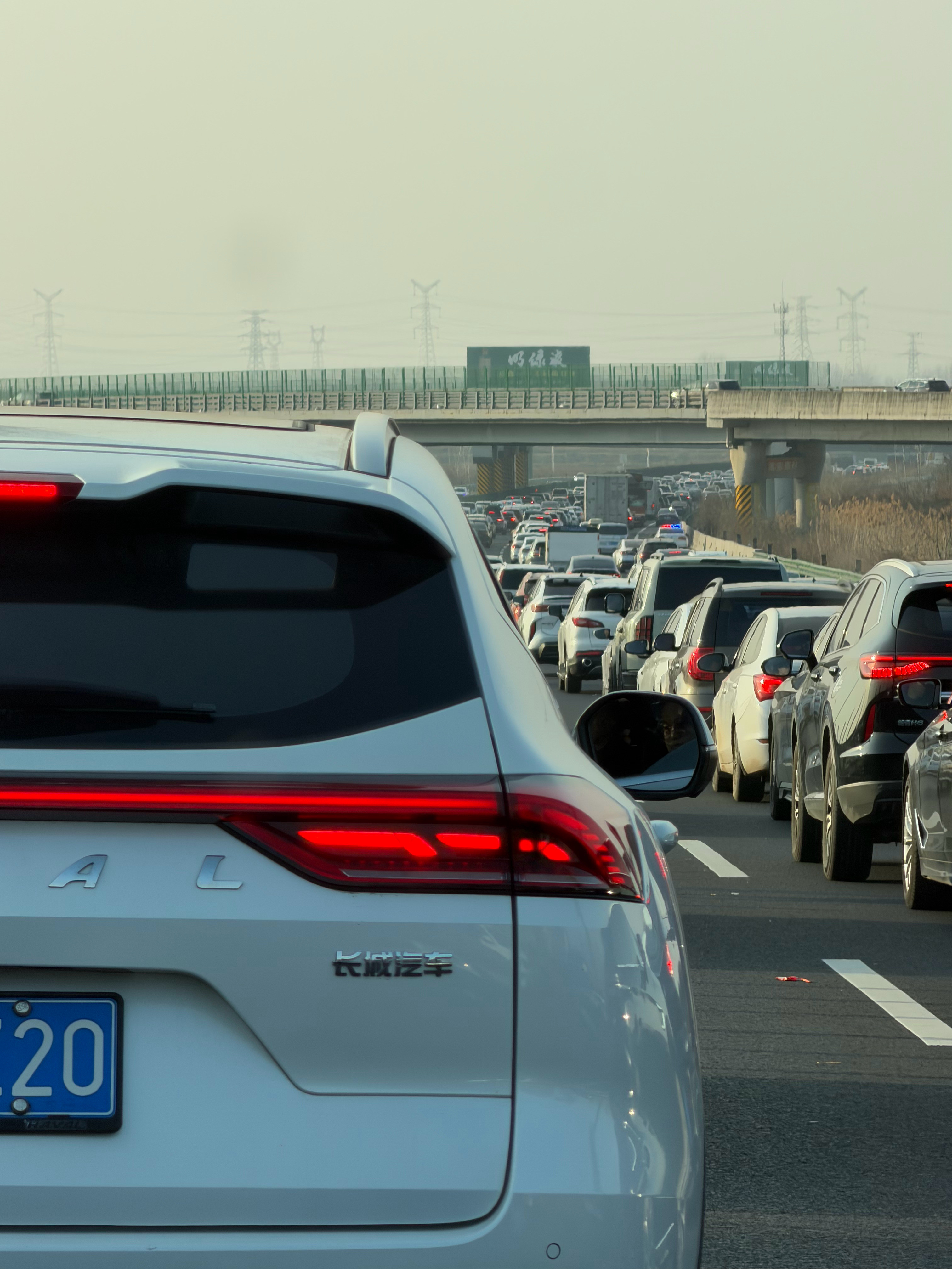 我已经感受到春运了，宁洛高速确实是挺堵的我的日常plog