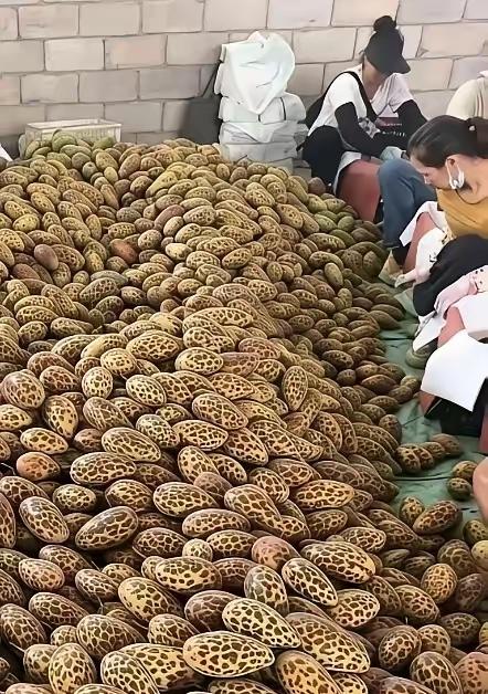 广西，一男子闲来无事去郊外闲逛，路过一仓库时，听见里面人声嘈杂，探头往里面一瞧，