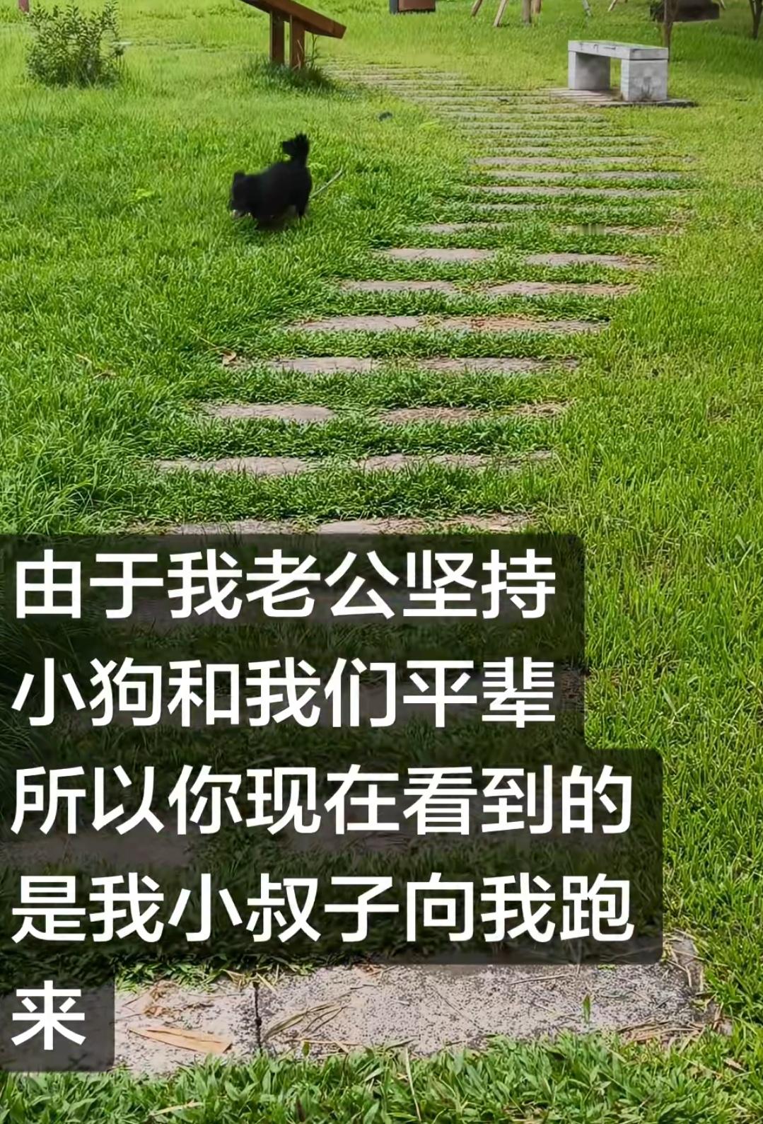 家里的动物如果跟人一起按辈分走，有些动物的辈分就很高了