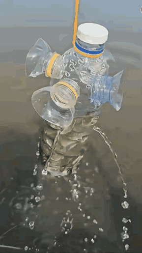 小雨鱼：今天我是非死不可吗？
