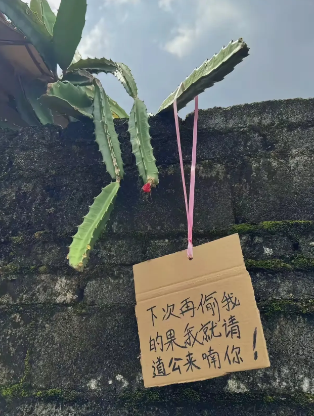 想不明白后面那句是啥意思？
