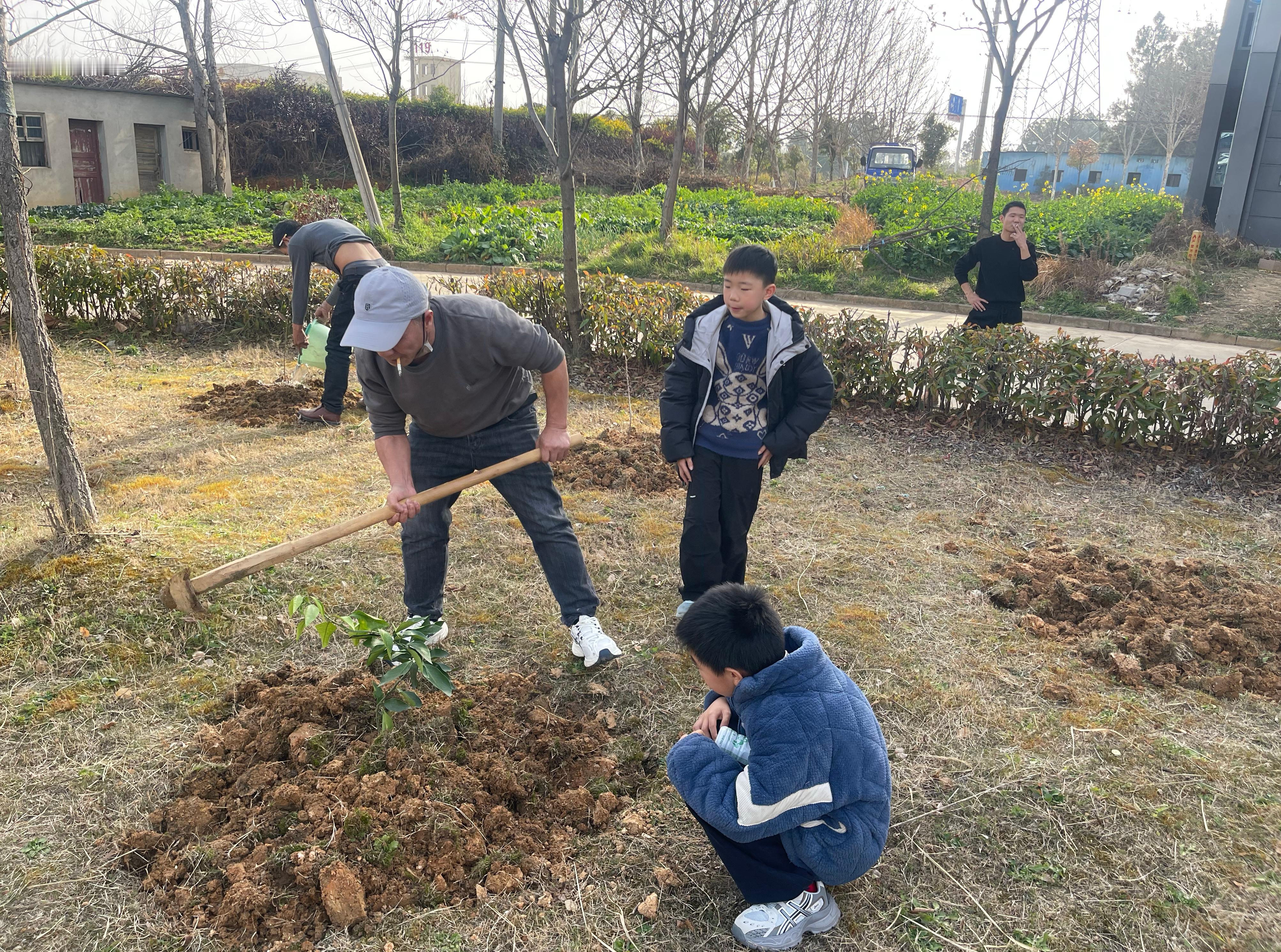 家里门前有一个花园，春天正是种树季节，带领家里的大小朋友一起过来种树，5棵橘子，