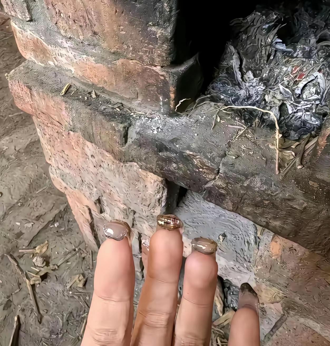 哈哈哈哈，当美甲遇到灶台[狗头]