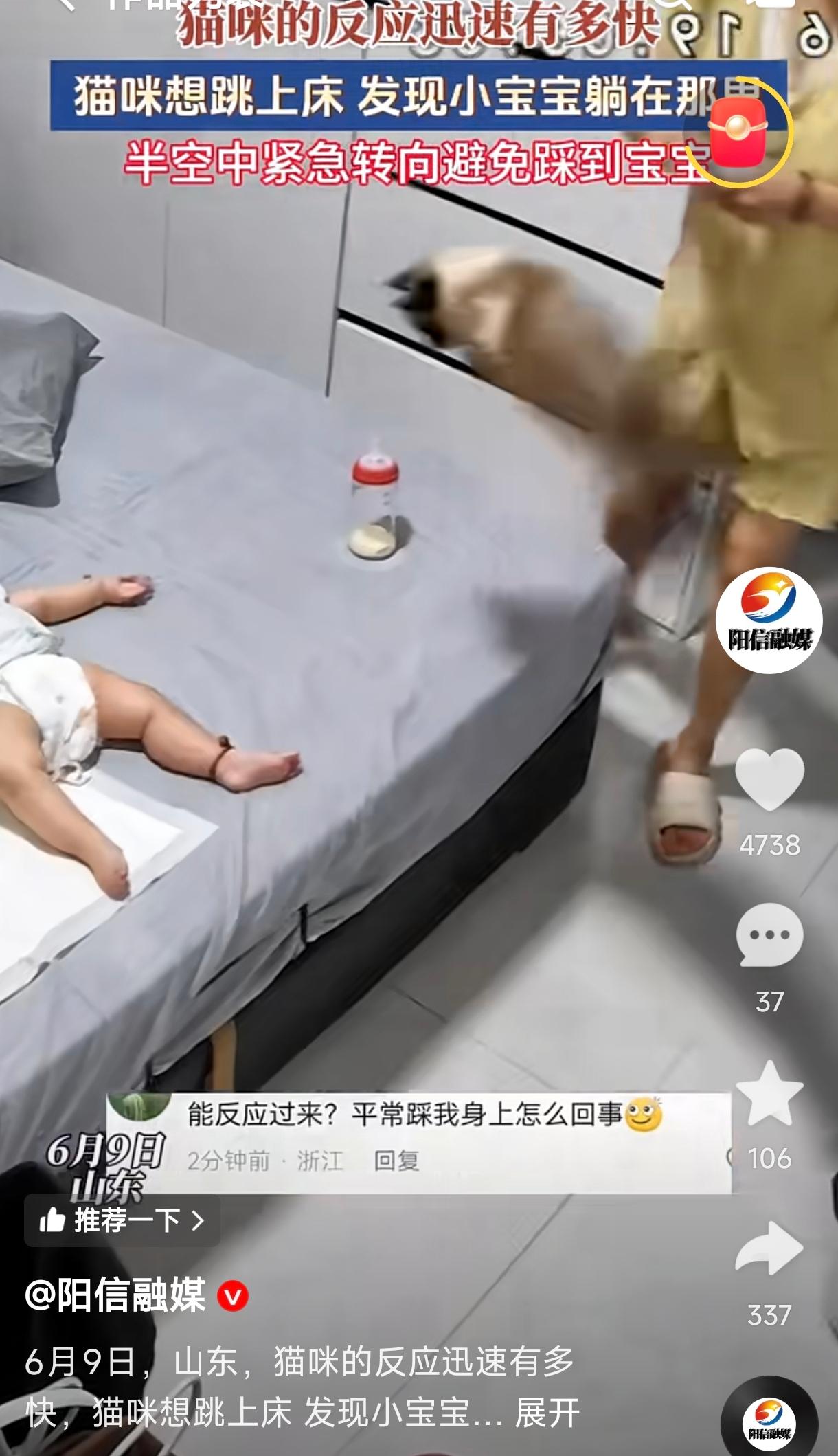 山东猫咪跳床腾空瞬间紧急转弯，极致避让婴儿温柔出圈。 本能一秒避险的灵性操作