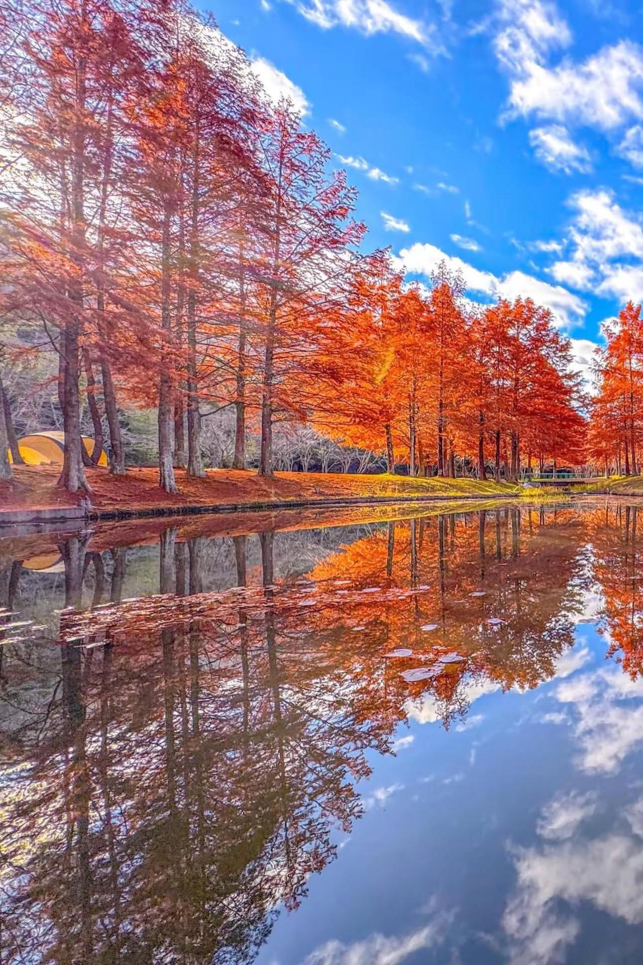 如果有一天，我回到从前回到最原始的我。枫叶🍁